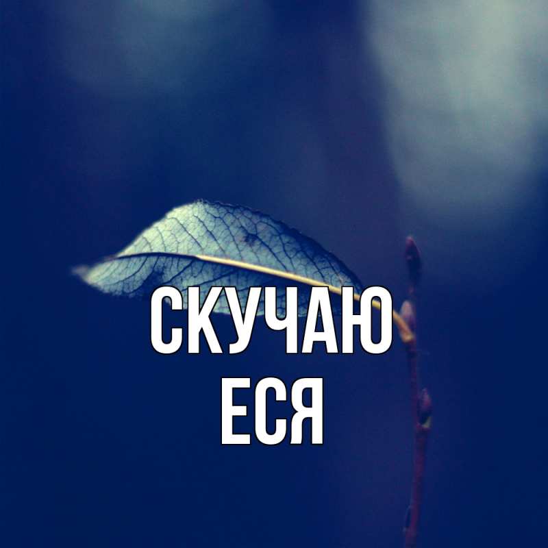 Картинка Скучаю, Еся
