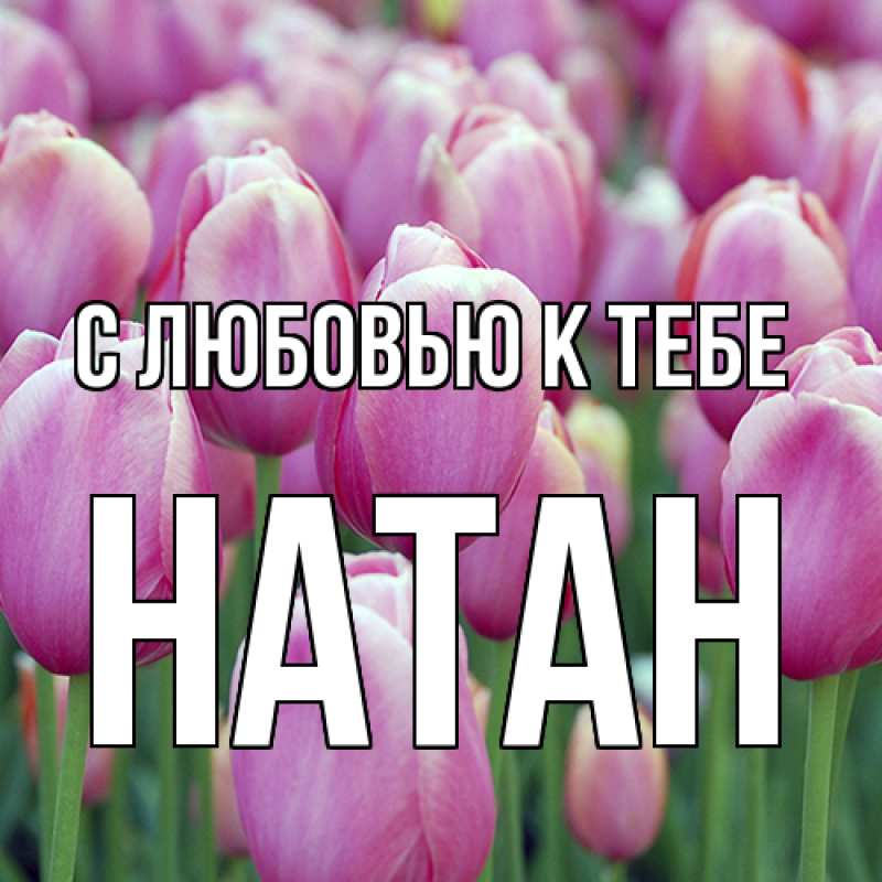 Открытка с именем, Натан, С любовью к тебе