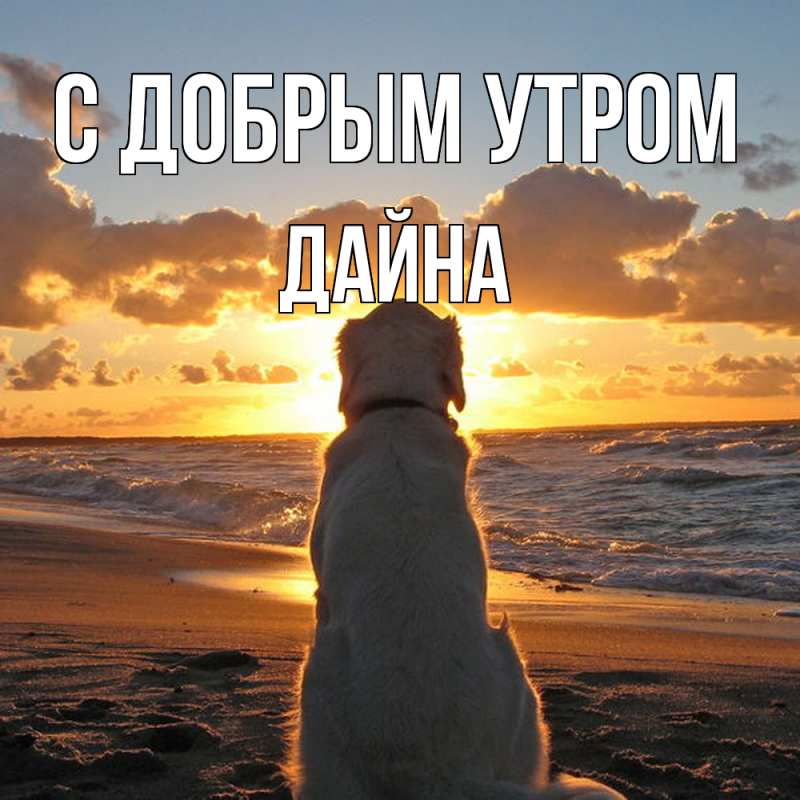 Картинка С добрым утром, Дайна