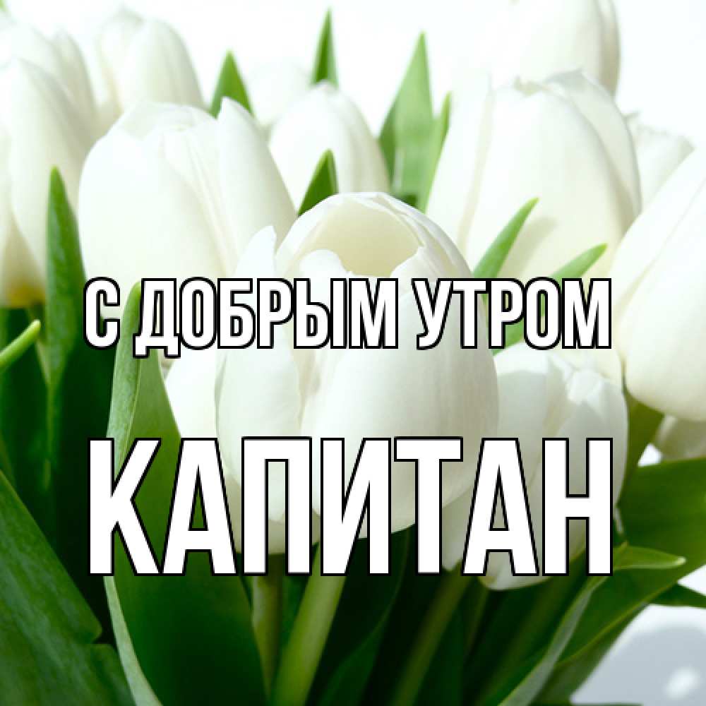 Открытка  с именем. Капитан, С добрым утром  