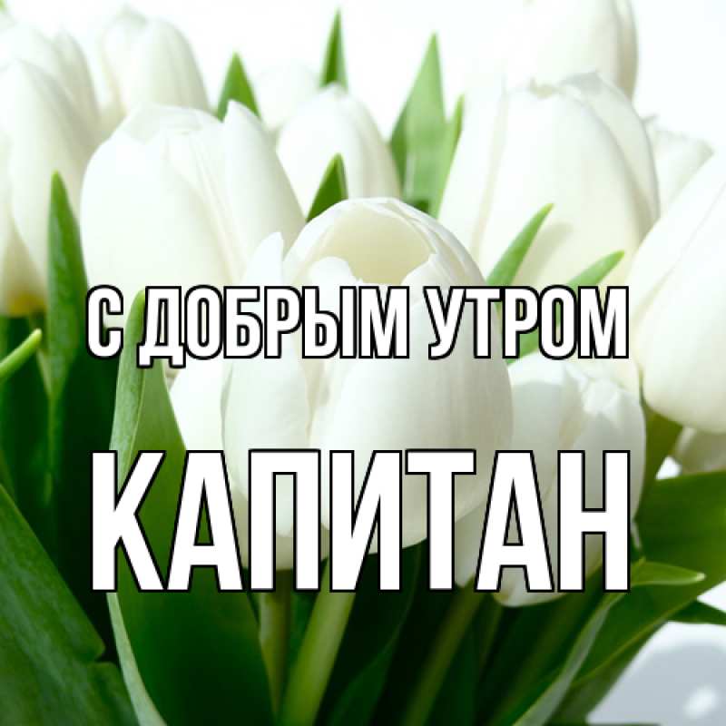 Картинка С добрым утром, Капитан