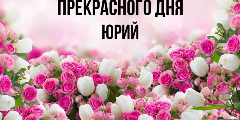 Картинка Прекрасного дня, Юрий