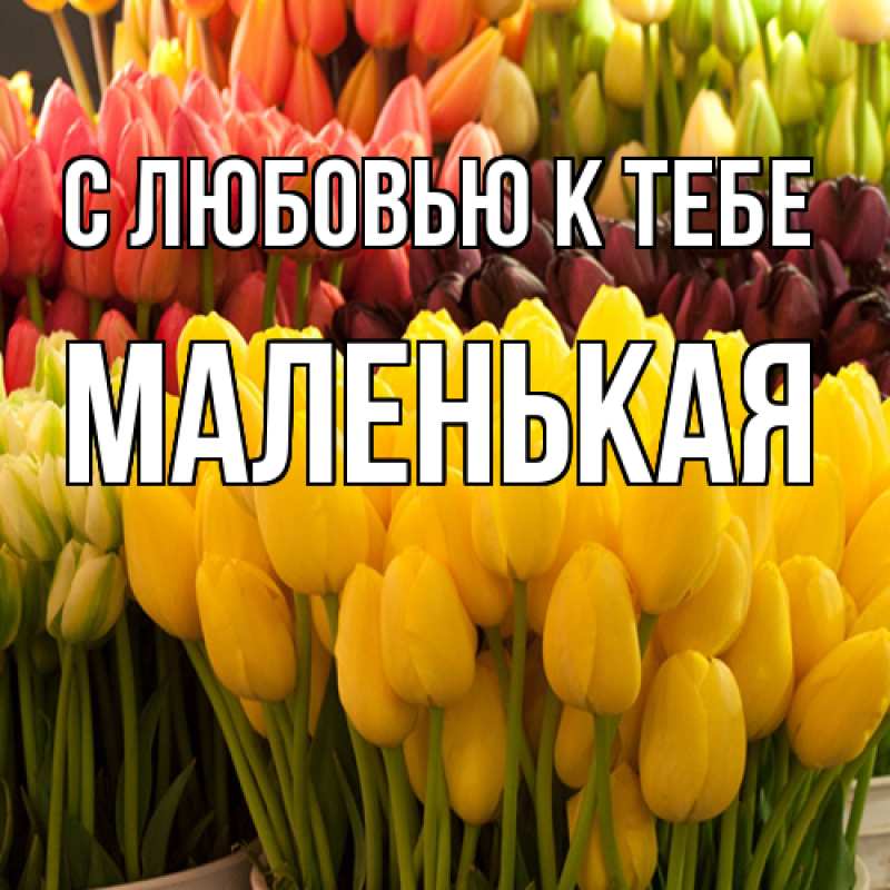 Картинка С любовью к тебе, Маленькая