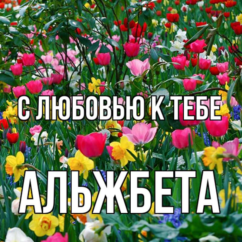 Картинка С любовью к тебе, Альжбета