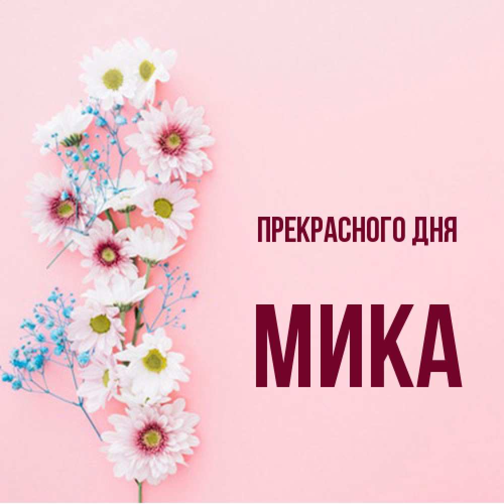 Открытка  с именем. мика, Прекрасного дня  