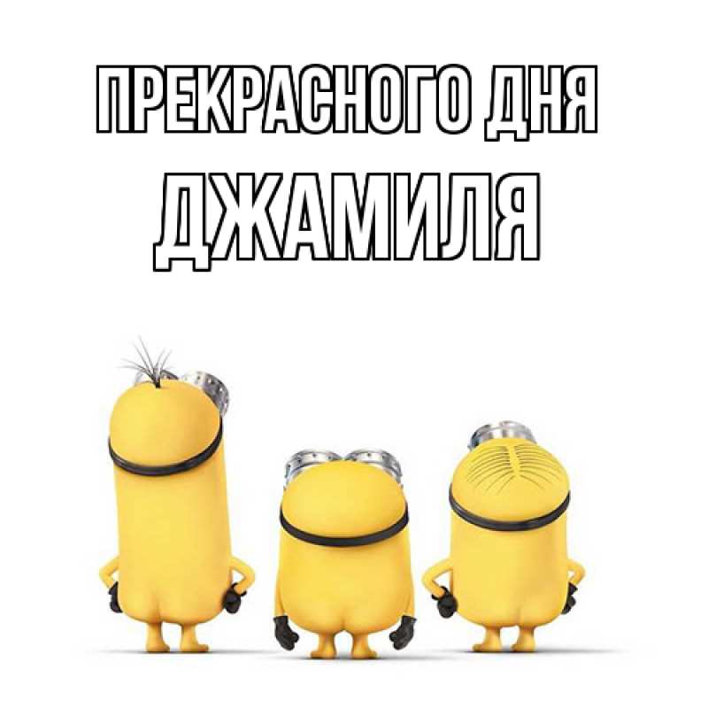 Картинка Прекрасного дня, Джамиля