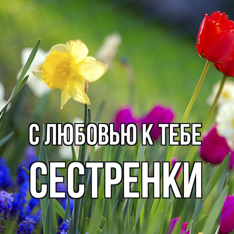 Картинка С любовью к тебе, Сестренки