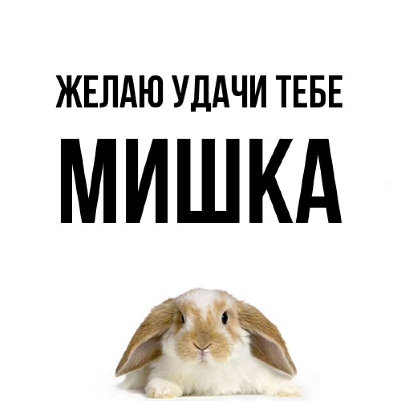 Открытка с именем, Мишка, Желаю удачи тебе