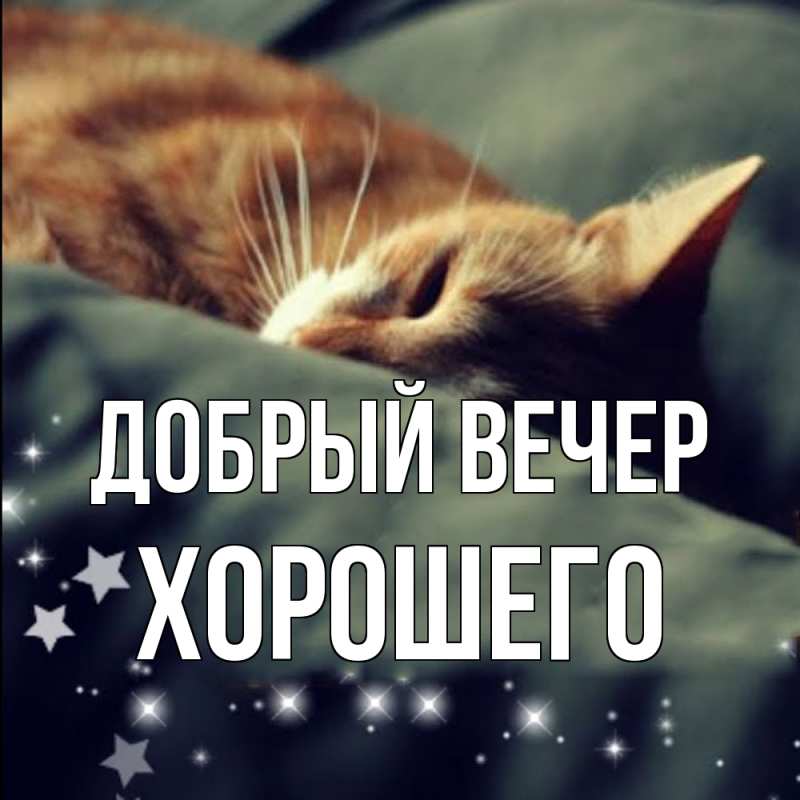 Картинка Добрый вечер, Хорошего