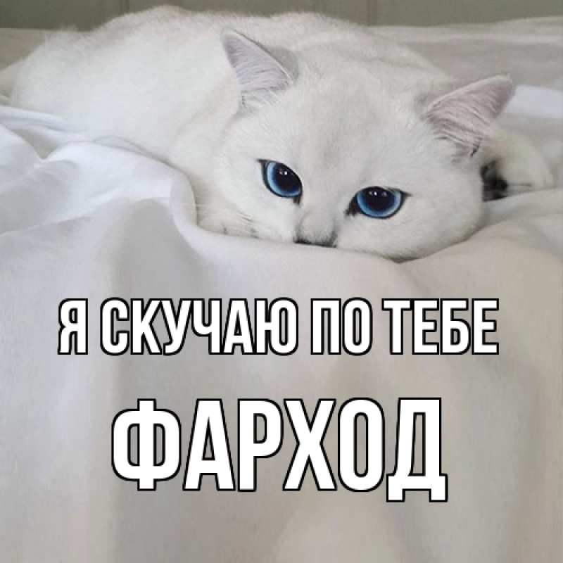 Картинка Я скучаю по тебе, Фарход