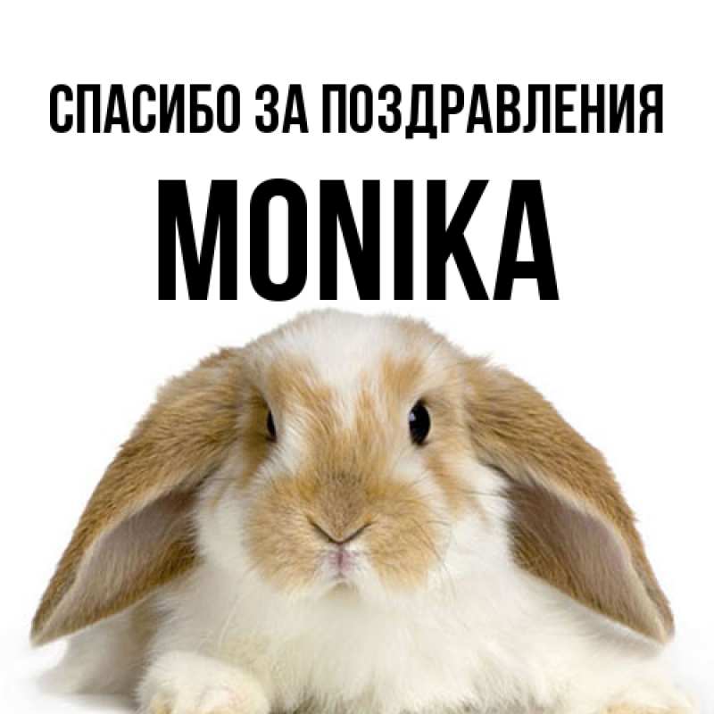 Картинка Спасибо за поздравления, Monika