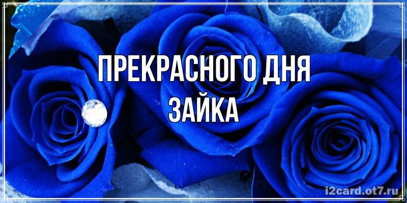 Картинка Прекрасного дня, Зайка