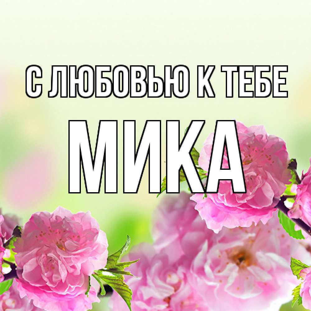 Открытка  с именем. мика, С любовью к тебе  