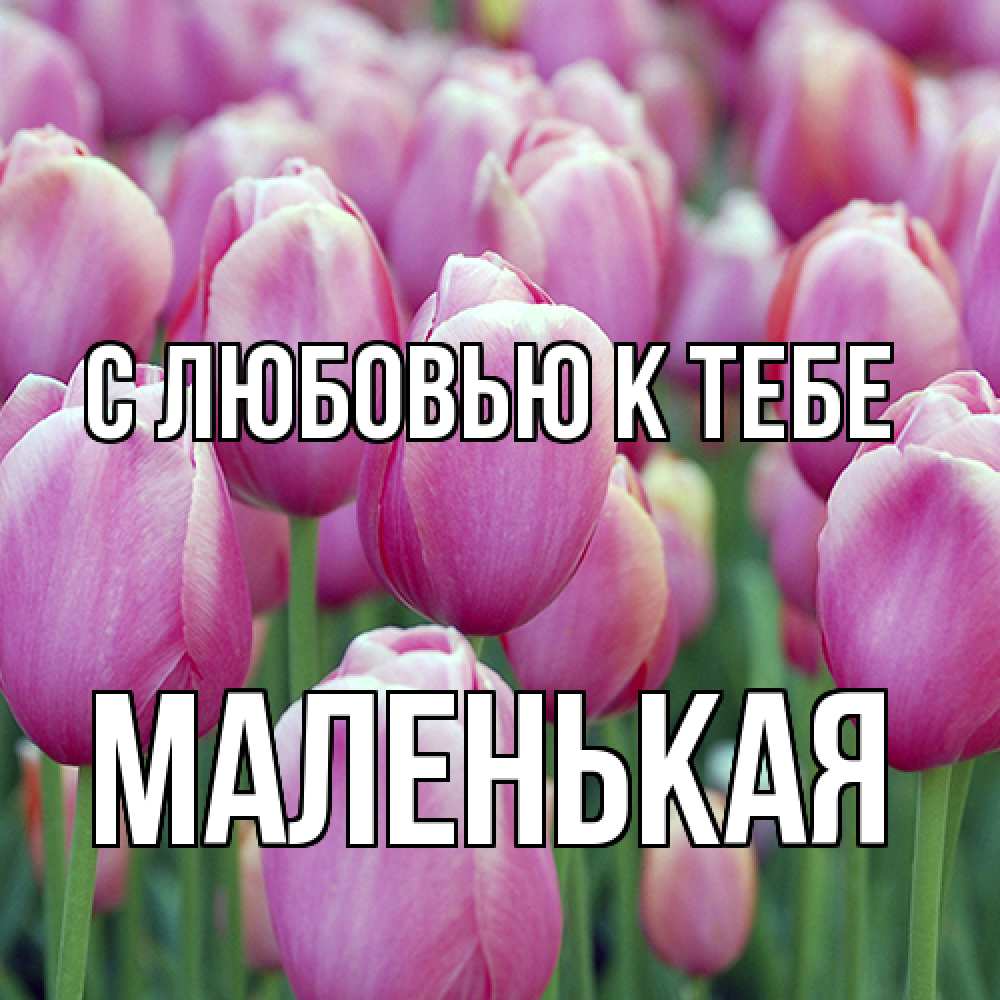 Открытка  с именем. Маленькая, С любовью к тебе  