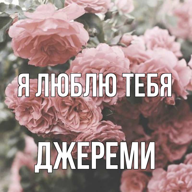 Картинка Я люблю тебя, Джереми