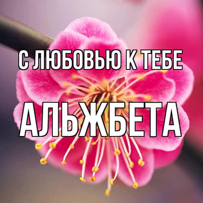 Картинка С любовью к тебе, Альжбета