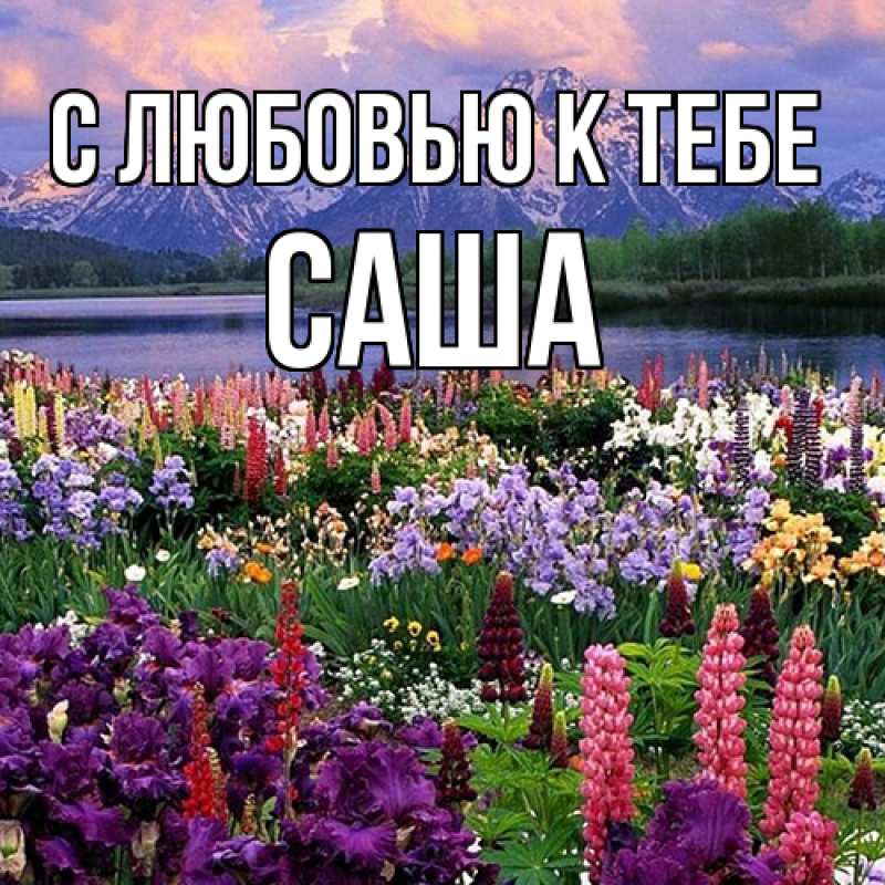 Картинка С любовью к тебе, Саша