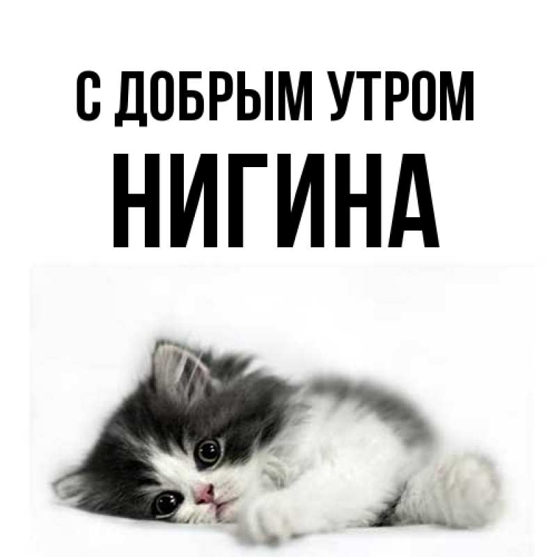 Картинка С добрым утром, Нигина