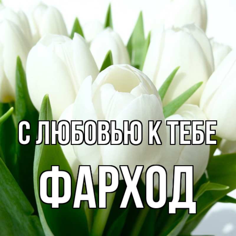 Картинка С любовью к тебе, Фарход