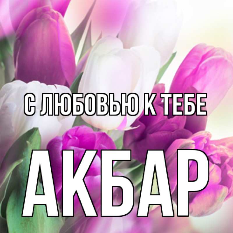 Открытка с именем, Акбар, С любовью к тебе