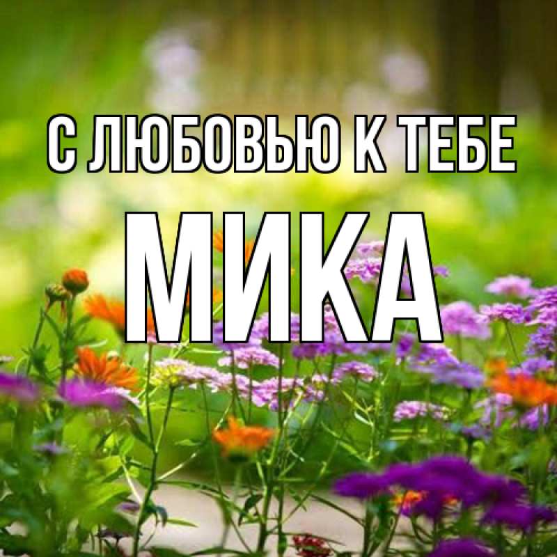 Картинка С любовью к тебе, мика
