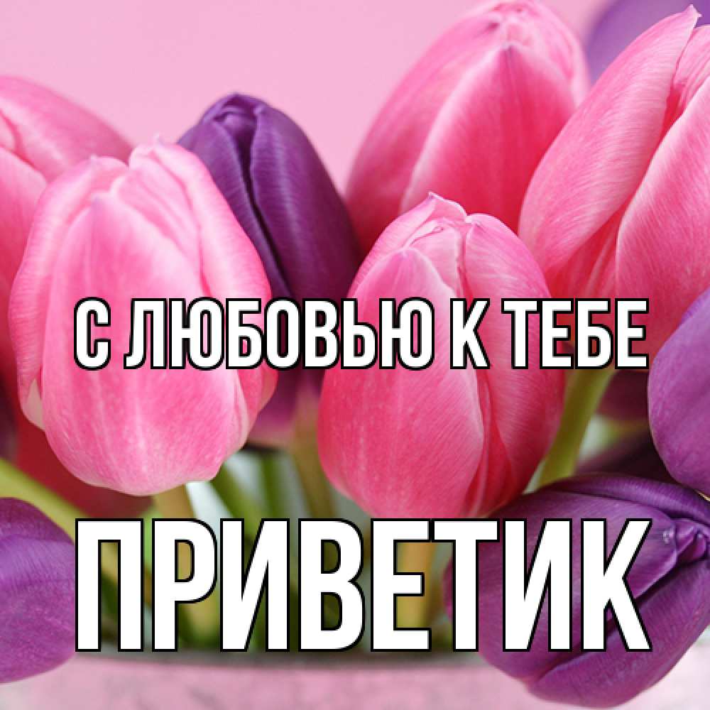 Открытка  с именем. приветик, С любовью к тебе  