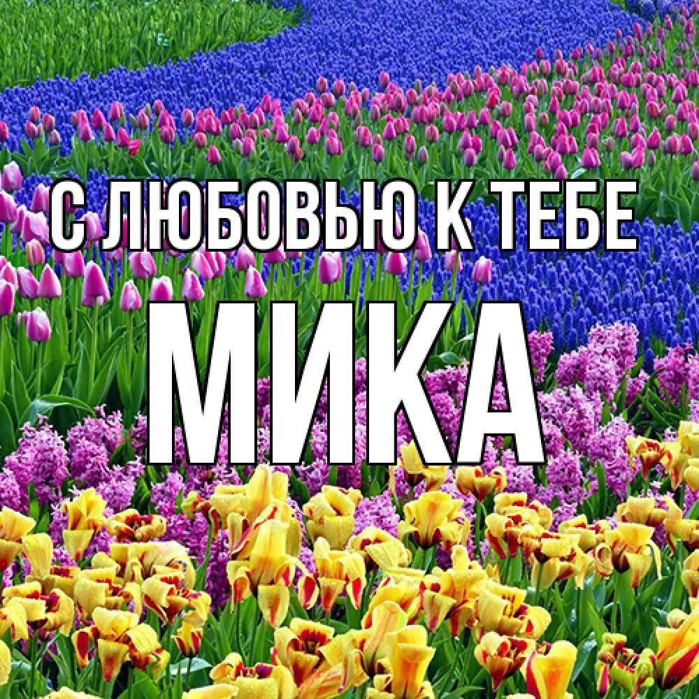 Открытка  с именем. мика, С любовью к тебе  