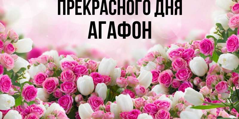 Картинка Прекрасного дня, Агафон