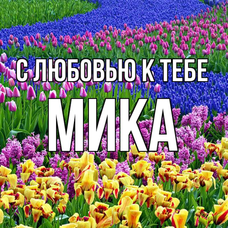 Картинка С любовью к тебе, мика