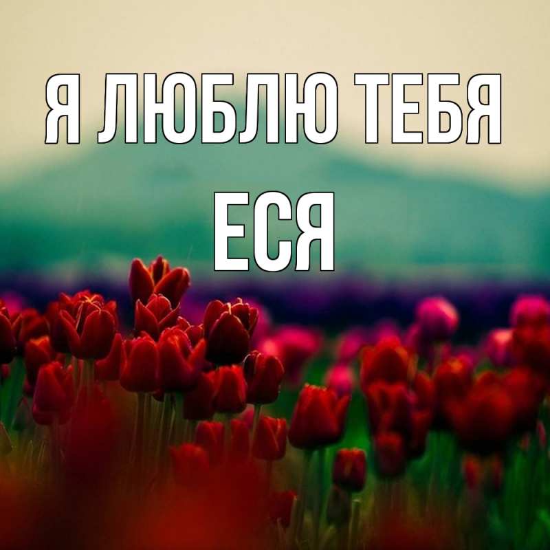Картинка Я люблю тебя, Еся
