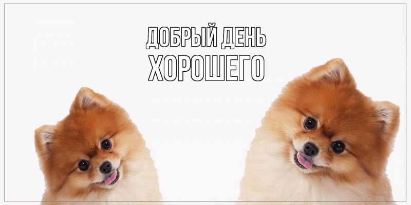 Картинка Добрый день, Хорошего