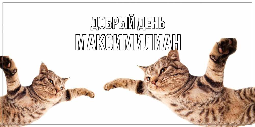 Открытка  с именем. Максимилиан, Добрый день  