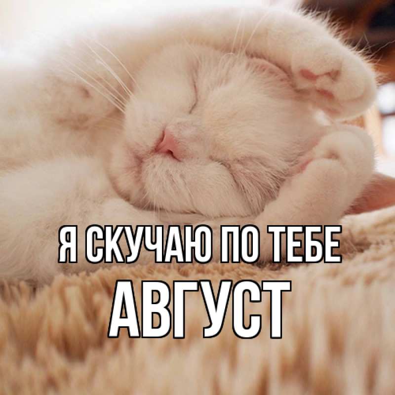 Картинка Я скучаю по тебе, Август