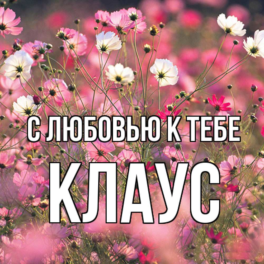 Открытка  с именем. Клаус, С любовью к тебе  