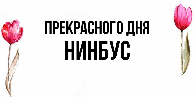 Картинка Прекрасного дня, нинбус
