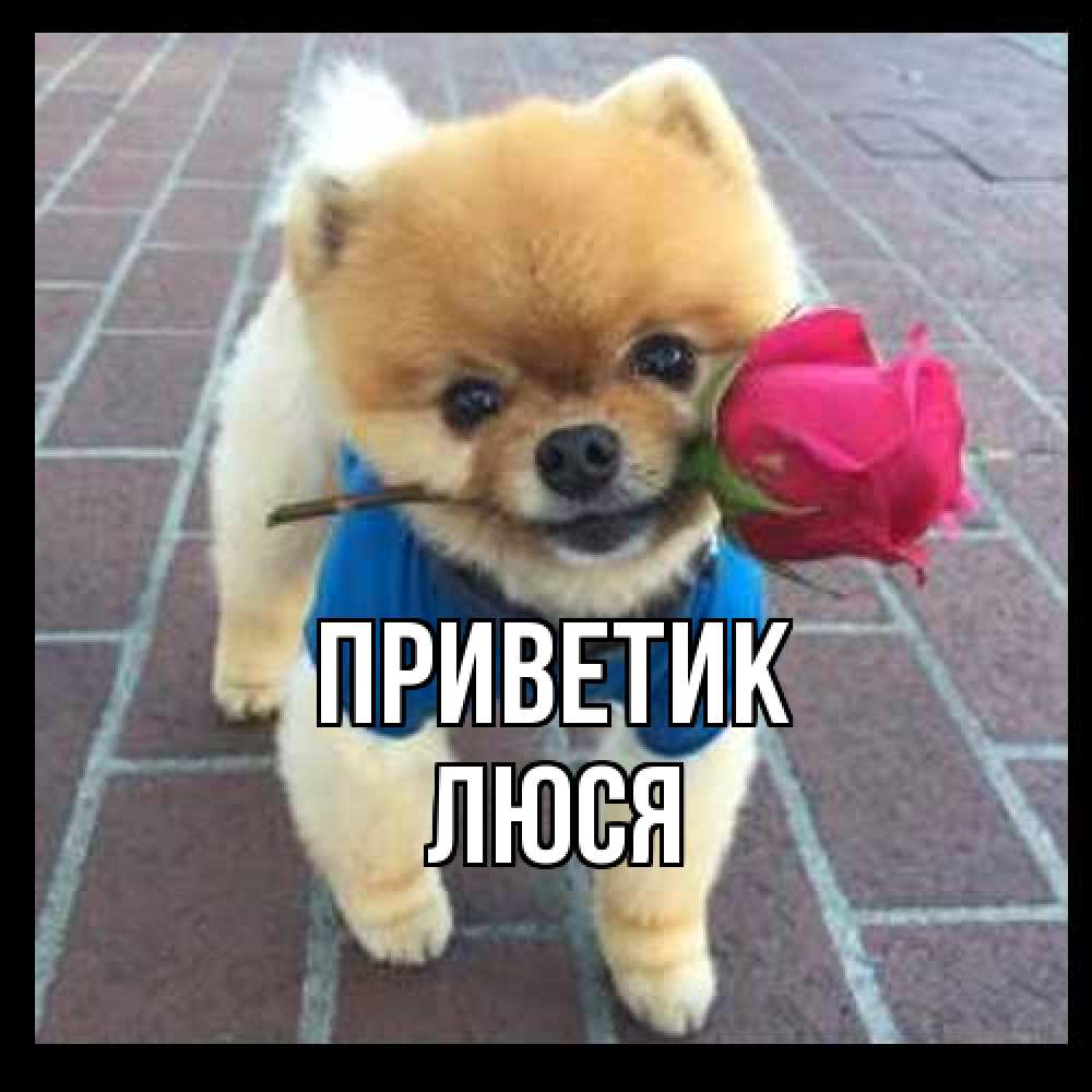 Открытка  с именем. Люся, приветик  