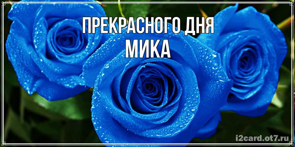 Открытка  с именем. мика, Прекрасного дня  