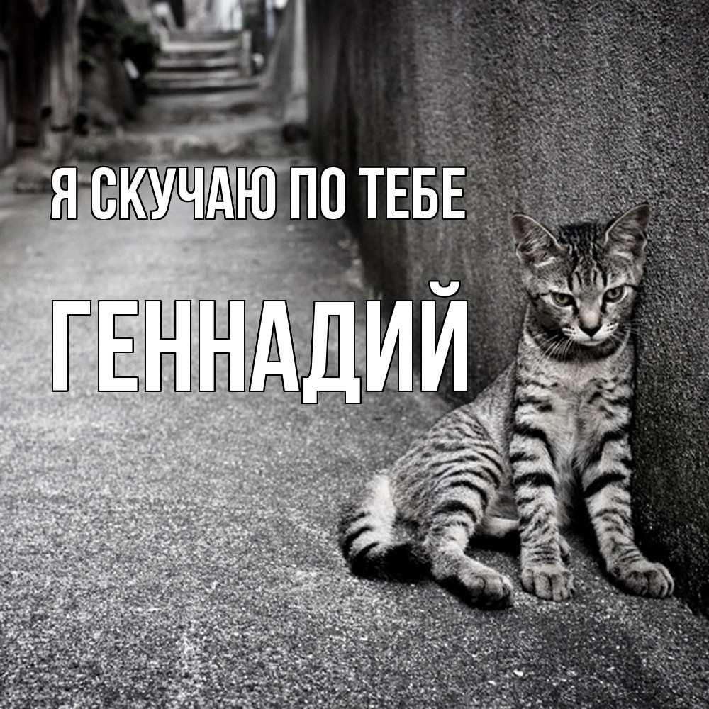 Открытка  с именем. Геннадий, Я скучаю по тебе  
