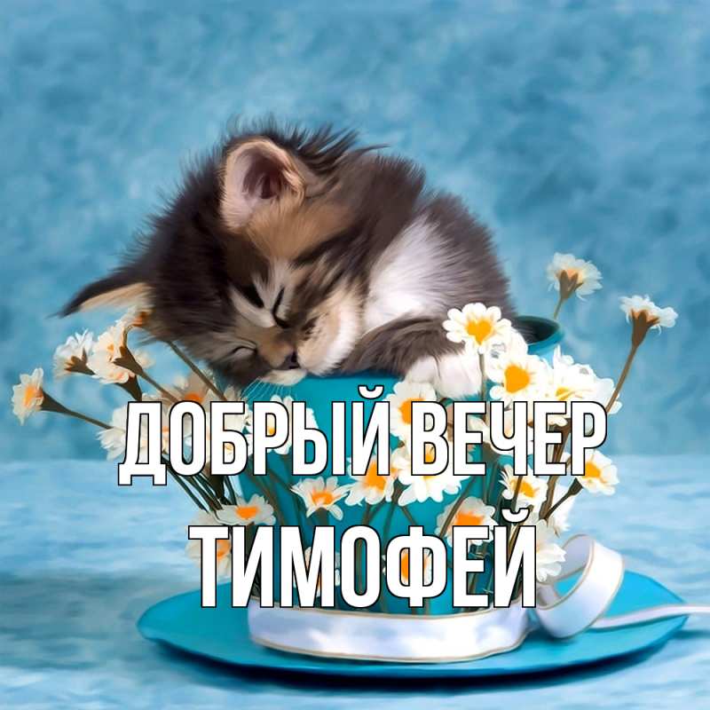Открытка с именем, Тимофей, Добрый вечер