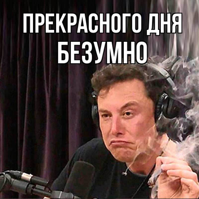 Картинка Прекрасного дня, безумно