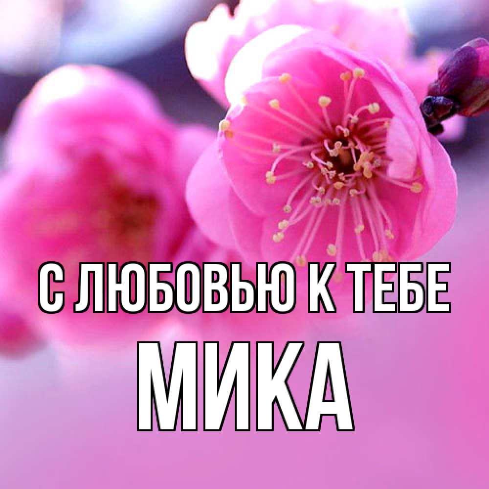 Открытка  с именем. мика, С любовью к тебе  