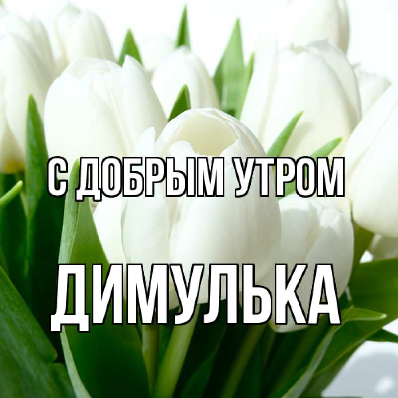 Картинка С добрым утром, Димулька