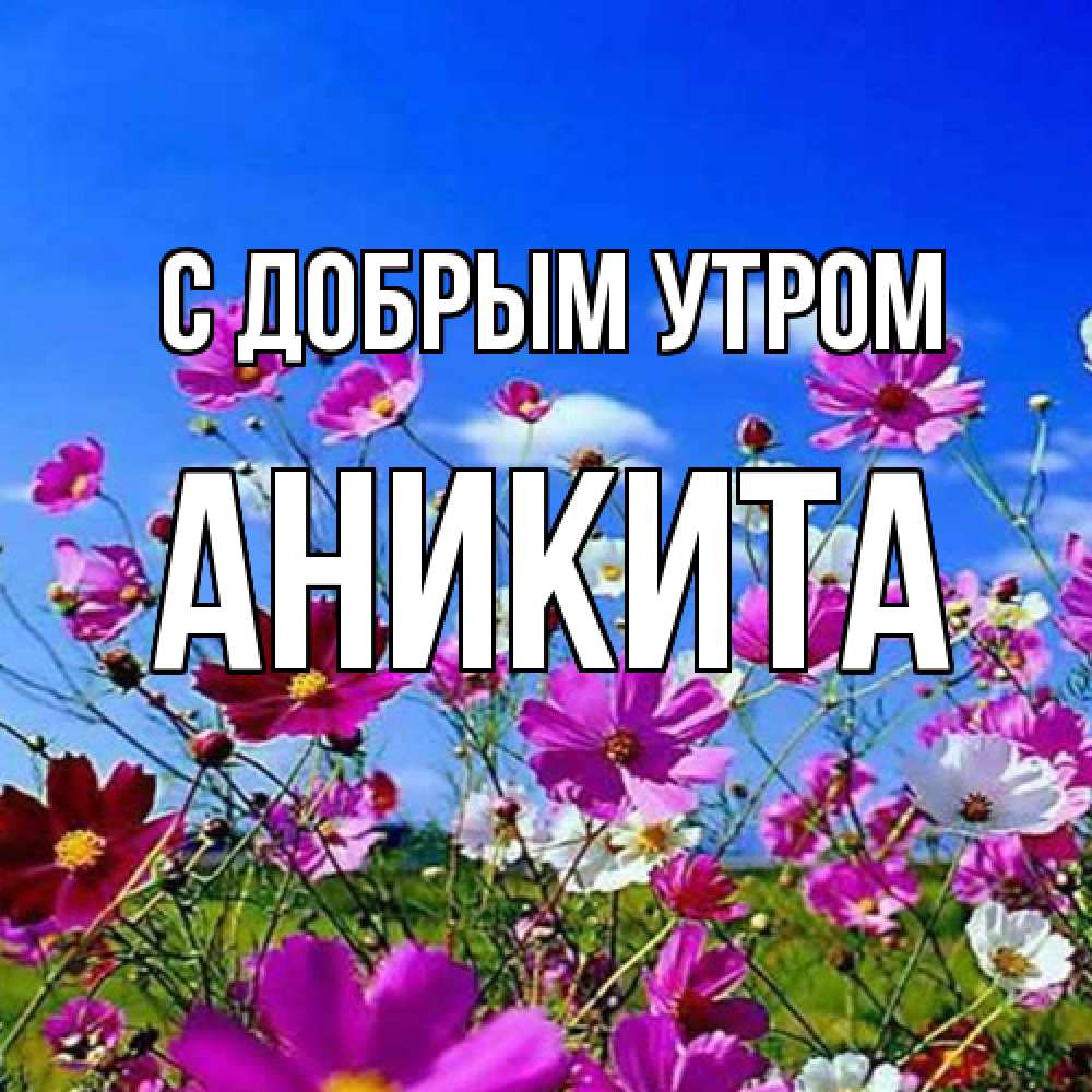 Открытка  с именем. Аникита, С добрым утром  