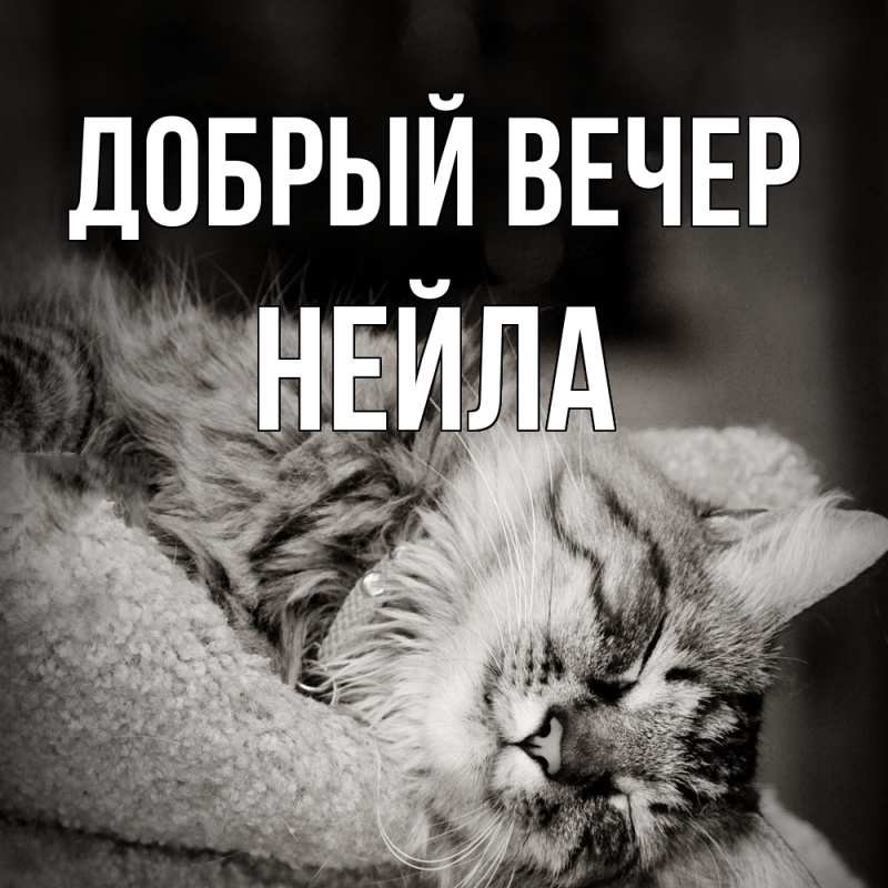 Открытка с именем, Нейла, Добрый вечер