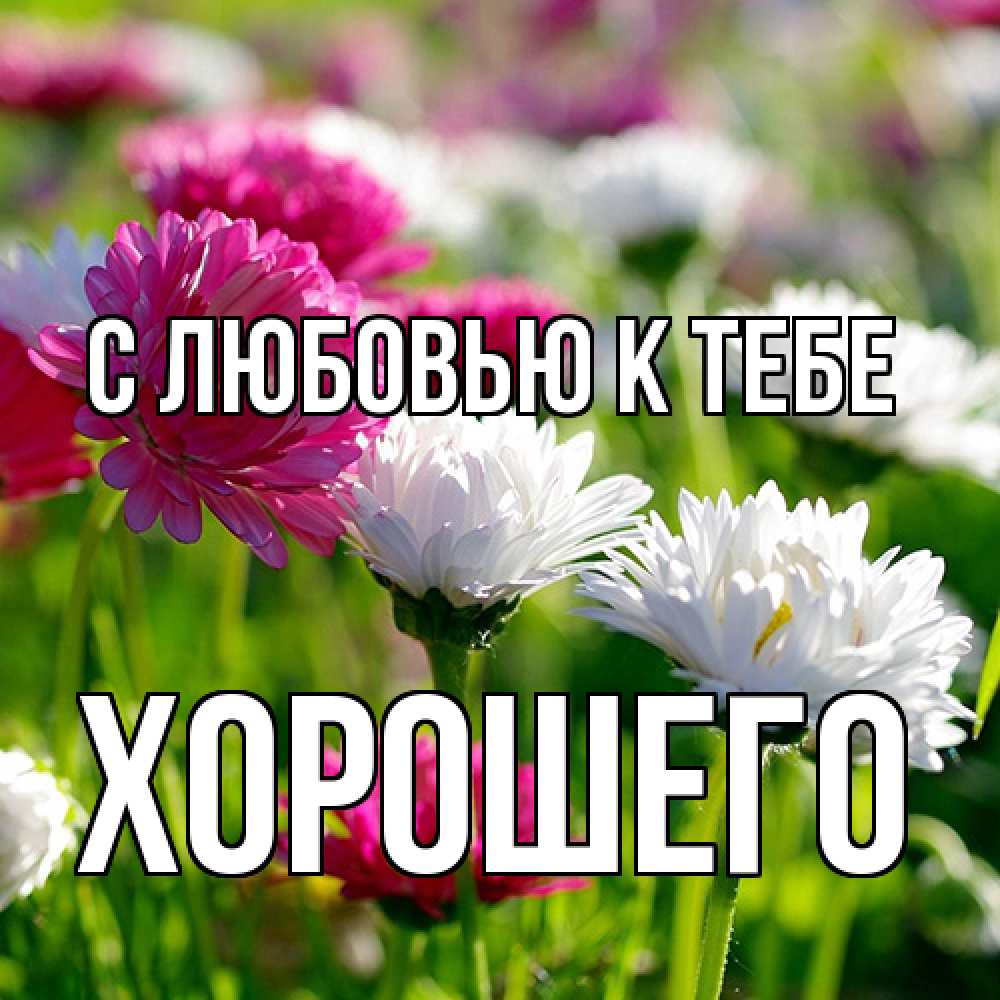 Открытка  с именем. Хорошего, С любовью к тебе  