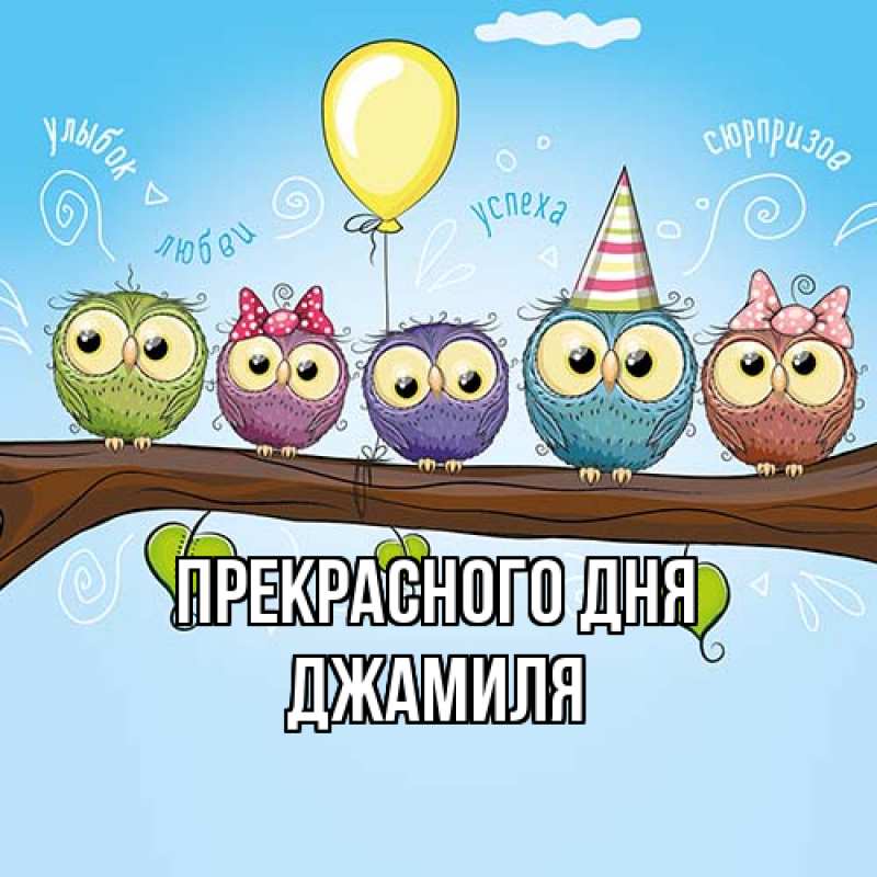 Картинка Прекрасного дня, Джамиля