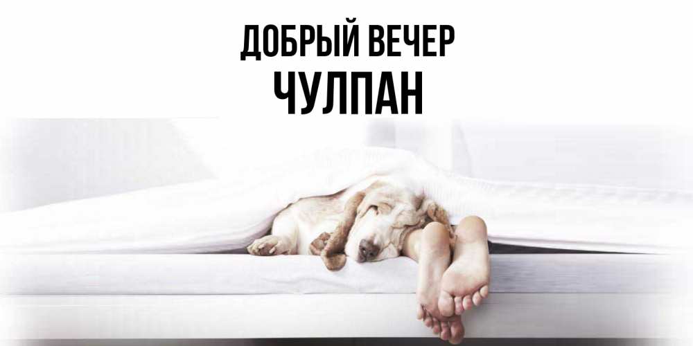 Открытка  с именем. Чулпан, Добрый вечер  