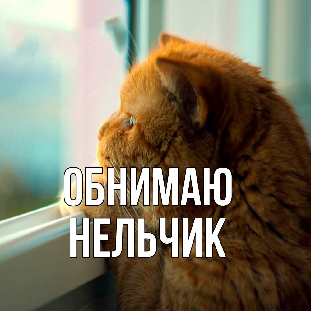 Открытка  с именем. Нельчик, Обнимаю  