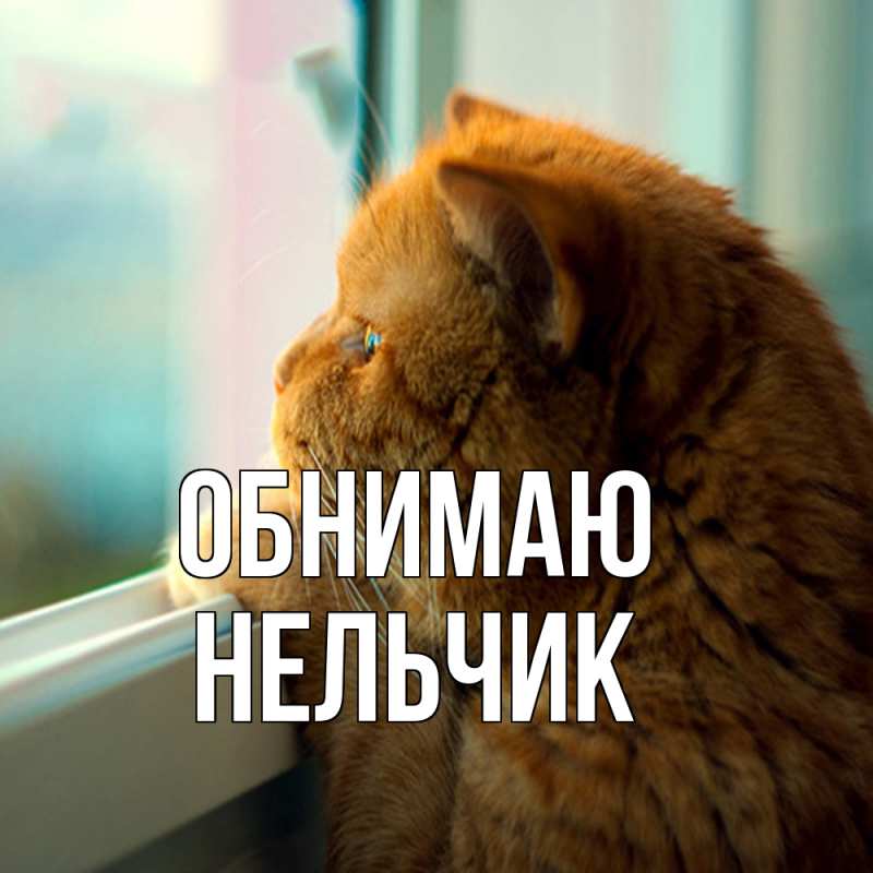 Картинка Обнимаю, Нельчик