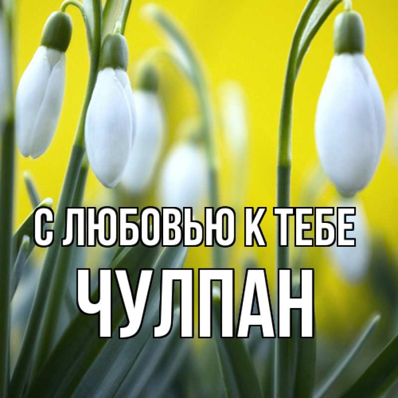 Картинка С любовью к тебе, Чулпан